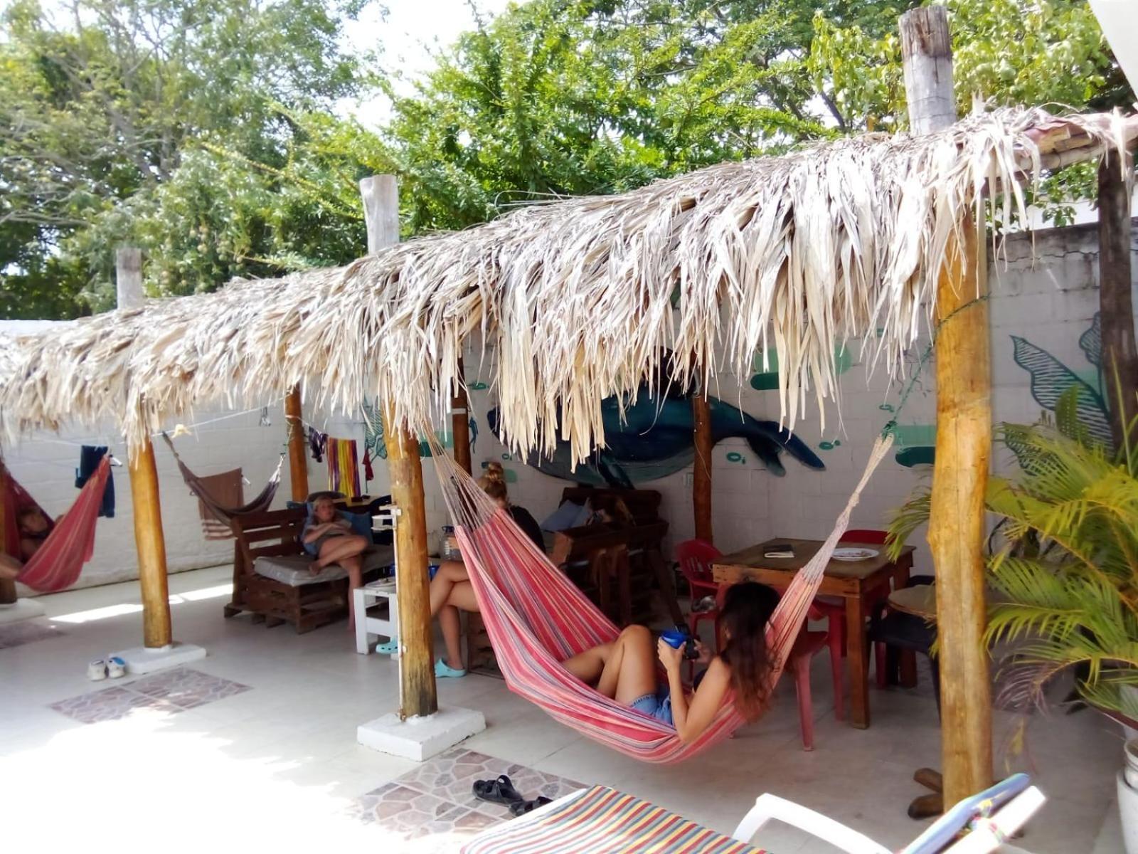 Hotel Bamboo Rincon Del Mar à San Onofre Extérieur photo